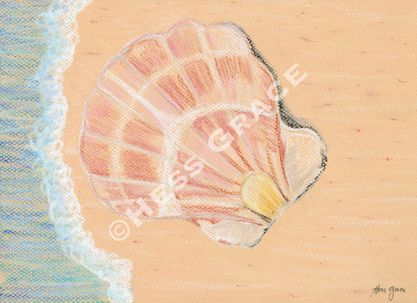 Scallop Shell - Water's Edge Series – Hess Grace Art